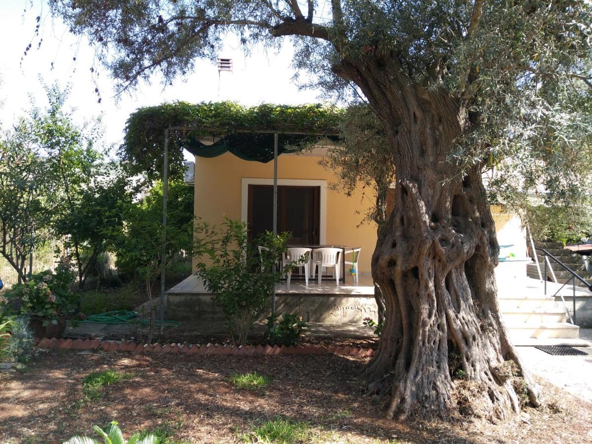 Lefkas House With Garden Villa Tsoukaládhes Eksteriør bilde